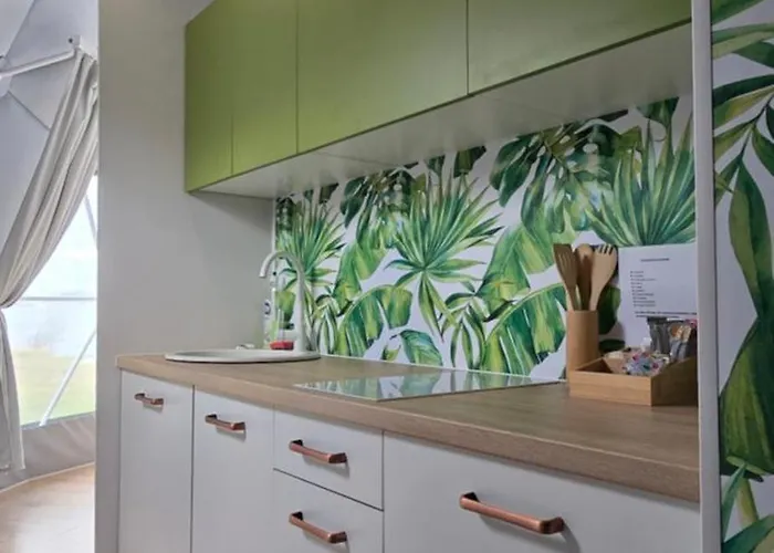 Aqua Glamp Jaszczurowa